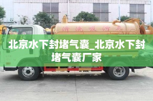 北京水下封堵氣囊_北京水下封堵氣囊廠家