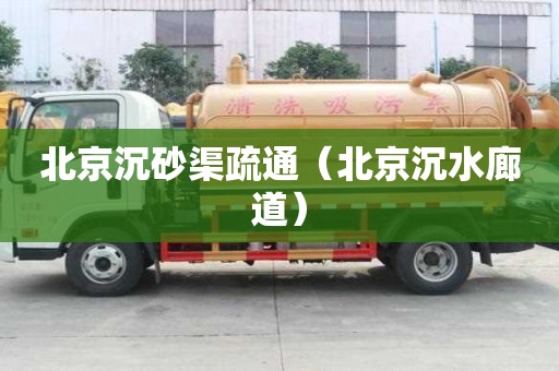 北京沉砂渠疏通（北京沉水廊道）
