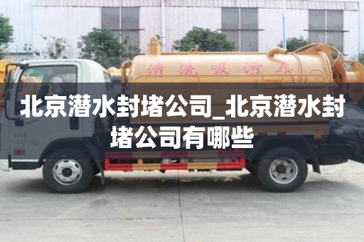 北京潛水封堵公司_北京潛水封堵公司有哪些