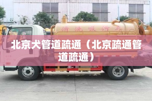 北京犬管道疏通（北京疏通管道疏通）