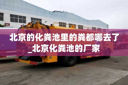 北京的化糞池里的糞都哪去了_北京化糞池的廠家