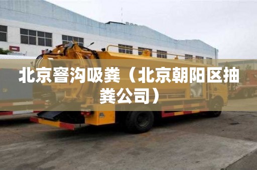 北京窨溝吸糞（北京朝陽區(qū)抽糞公司）