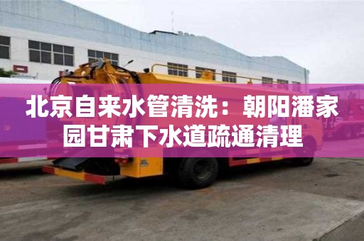 北京自來水管清洗：朝陽潘家園甘肅下水道疏通清理