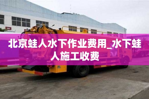 北京蛙人水下作業(yè)費用_水下蛙人施工收費