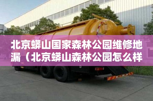 北京蟒山國家森林公園維修地漏（北京蟒山森林公園怎么樣）