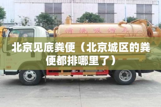 北京見底糞便（北京城區的糞便都排哪里了）