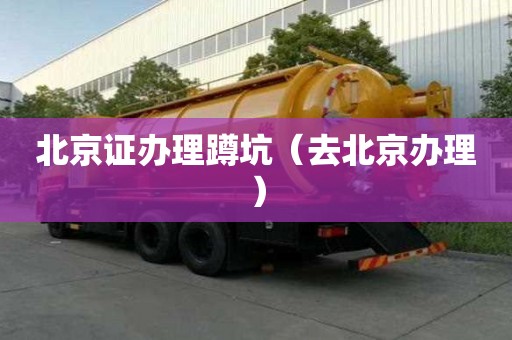北京證辦理蹲坑（去北京辦理）