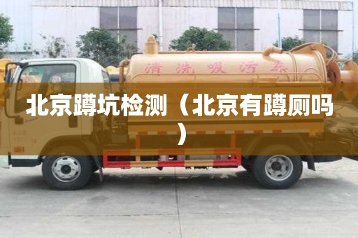 北京蹲坑檢測（北京有蹲廁嗎）
