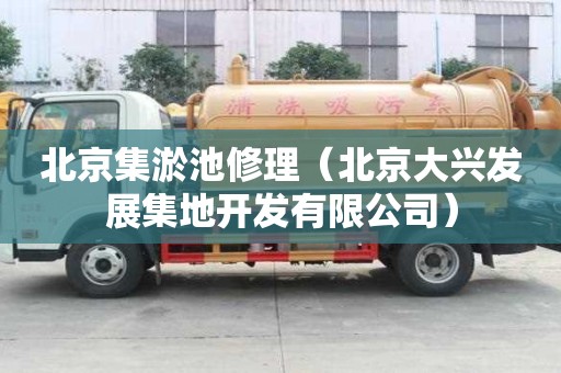 北京集淤池修理（北京大興發(fā)展集地開發(fā)有限公司）