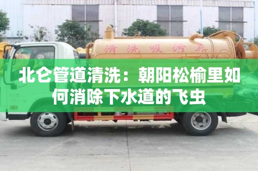 北侖管道清洗：朝陽松榆里如何消除下水道的飛蟲