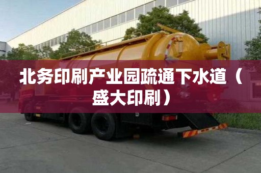 北務(wù)印刷產(chǎn)業(yè)園疏通下水道（盛大印刷）
