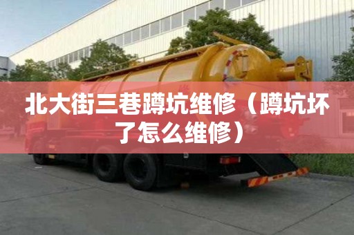 北大街三巷蹲坑維修（蹲坑壞了怎么維修）