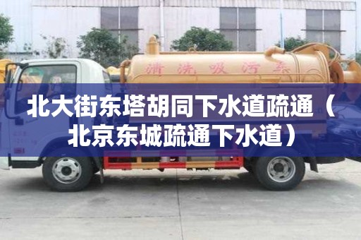 北大街東塔胡同下水道疏通（北京東城疏通下水道）