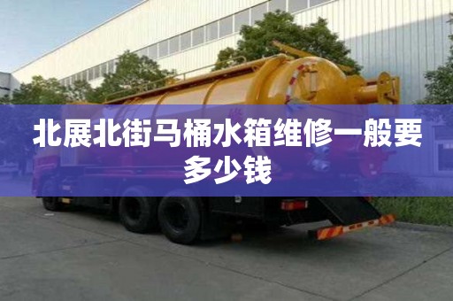 北展北街馬桶水箱維修一般要多少錢