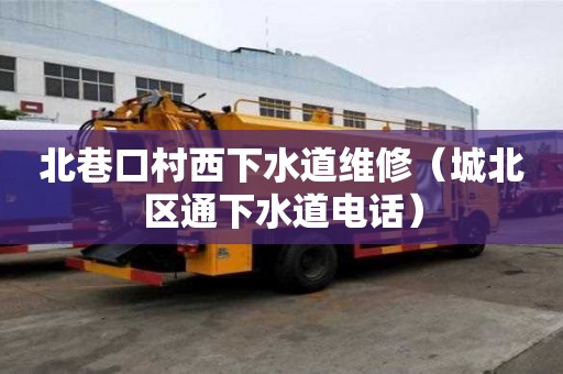 北巷口村西下水道維修（城北區通下水道電話）