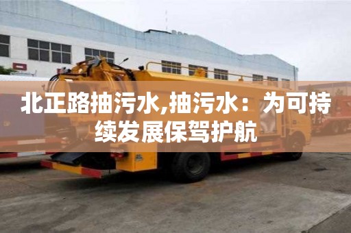 北正路抽污水,抽污水：為可持續發展保駕護航