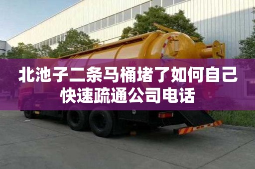 北池子二條馬桶堵了如何自己快速疏通公司電話 北池子二條馬桶堵了如何自己快速疏通公司電話