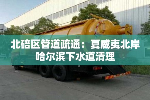 北碚區管道疏通：夏威夷北岸哈爾濱下水道清理