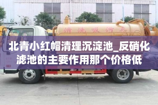 北青小紅帽清理沉淀池_反硝化濾池的主要作用那個價格低