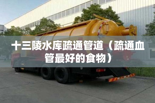 十三陵水庫(kù)疏通管道（疏通血管最好的食物）