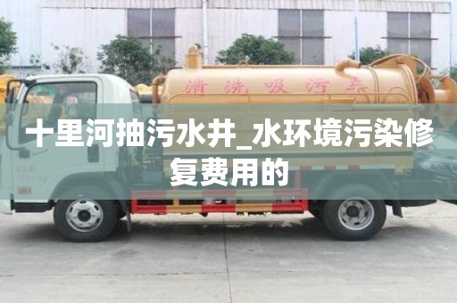 十里河抽污水井_水環境污染修復費用的