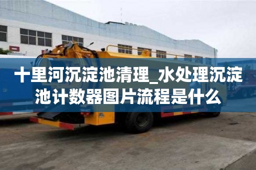十里河沉淀池清理_水處理沉淀池計數器圖片流程是什么