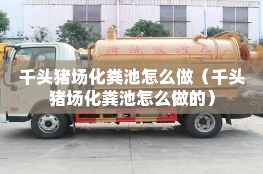 千頭豬場化糞池怎么做（千頭豬場化糞池怎么做的）