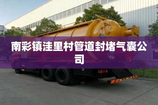 南彩鎮(zhèn)洼里村管道封堵氣囊公司