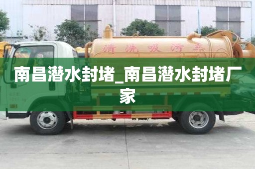 南昌潛水封堵_南昌潛水封堵廠家