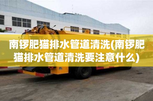南鑼肥貓排水管道清洗(南鑼肥貓排水管道清洗要注意什么)
