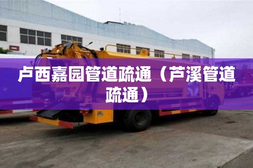 盧西嘉園管道疏通（蘆溪管道疏通）