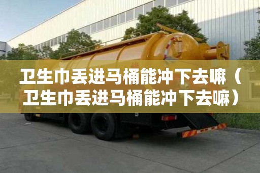 衛生巾丟進馬桶能沖下去嘛（衛生巾丟進馬桶能沖下去嘛）