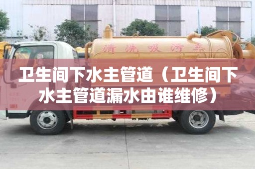 衛(wèi)生間下水主管道（衛(wèi)生間下水主管道漏水由誰維修）