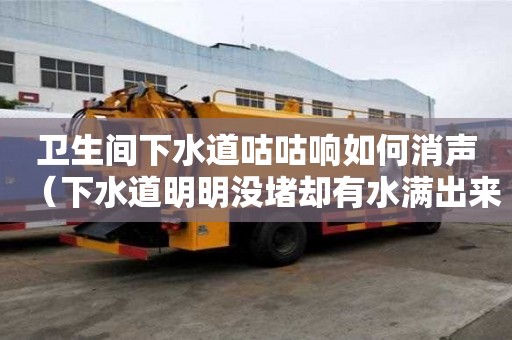 衛(wèi)生間下水道咕咕響如何消聲（下水道明明沒堵卻有水滿出來）