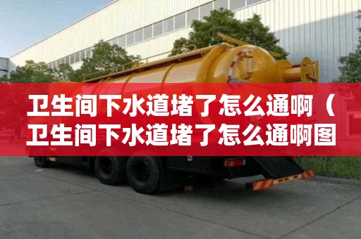 衛生間下水道堵了怎么通啊（衛生間下水道堵了怎么通啊圖片）