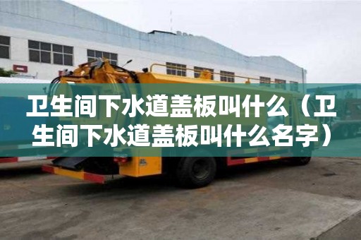 衛(wèi)生間下水道蓋板叫什么（衛(wèi)生間下水道蓋板叫什么名字）