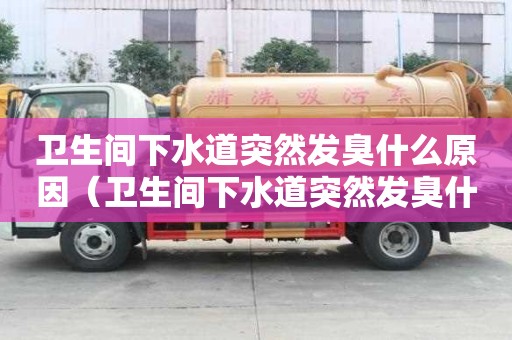 衛生間下水道突然發臭什么原因（衛生間下水道突然發臭什么原因造成的）