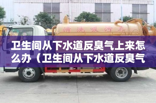 衛生間從下水道反臭氣上來怎么辦（衛生間從下水道反臭氣上來怎么辦呢）