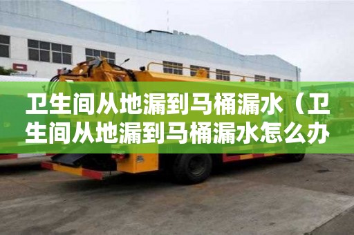 衛生間從地漏到馬桶漏水（衛生間從地漏到馬桶漏水怎么辦）
