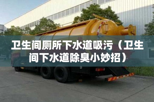 衛生間廁所下水道吸污（衛生間下水道除臭小妙招）
