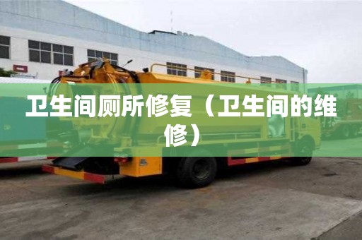 衛生間廁所修復(衛生間的維修) 衛生間廁所修復(衛生間的維修)