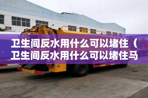 衛生間反水用什么可以堵住（衛生間反水用什么可以堵住馬桶）