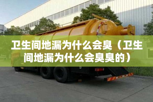 衛(wèi)生間地漏為什么會臭（衛(wèi)生間地漏為什么會臭臭的）