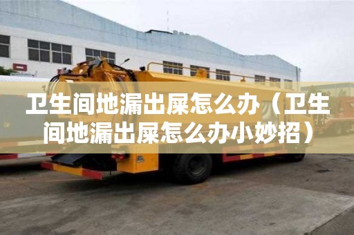衛(wèi)生間地漏出屎怎么辦(衛(wèi)生間地漏出屎怎么辦小妙招) 衛(wèi)生間地漏出屎怎么辦(衛(wèi)生間地漏出屎怎么辦小妙招)