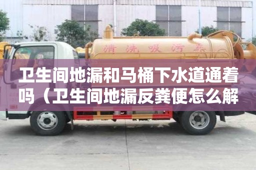 衛生間地漏和馬桶下水道通著嗎（衛生間地漏反糞便怎么解決）
