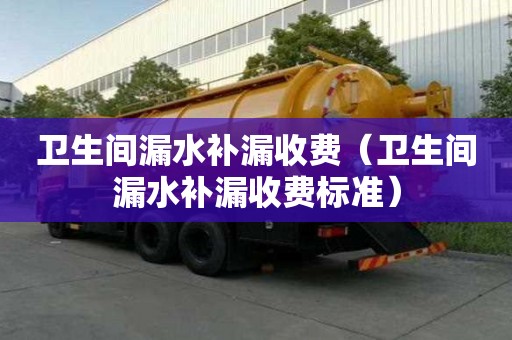 衛生間漏水補漏收費（衛生間漏水補漏收費標準）