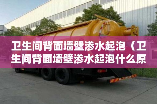 衛生間背面墻壁滲水起泡(衛生間背面墻壁滲水起泡什么原因) 衛生間背面墻壁滲水起泡(衛生間背面墻壁滲水起泡什么原因)