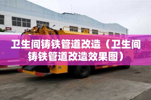 衛生間鑄鐵管道改造（衛生間鑄鐵管道改造效果圖）