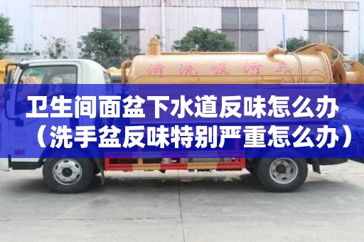 衛生間面盆下水道反味怎么辦（洗手盆反味特別嚴重怎么辦）