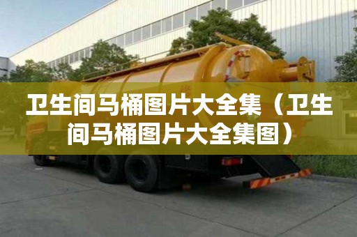 衛生間馬桶圖片大全集（衛生間馬桶圖片大全集圖）